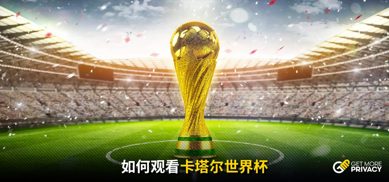 侣在职业球