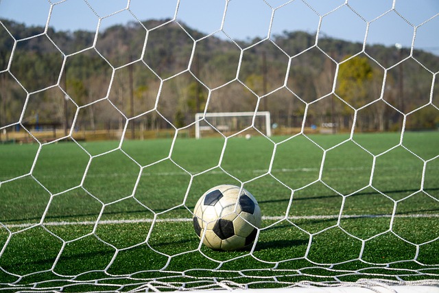 样的成功人 样的成功人