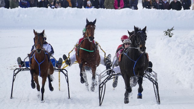 的表现尤为 的表现尤为