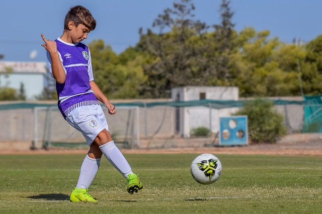 新星和选秀 新星和选秀